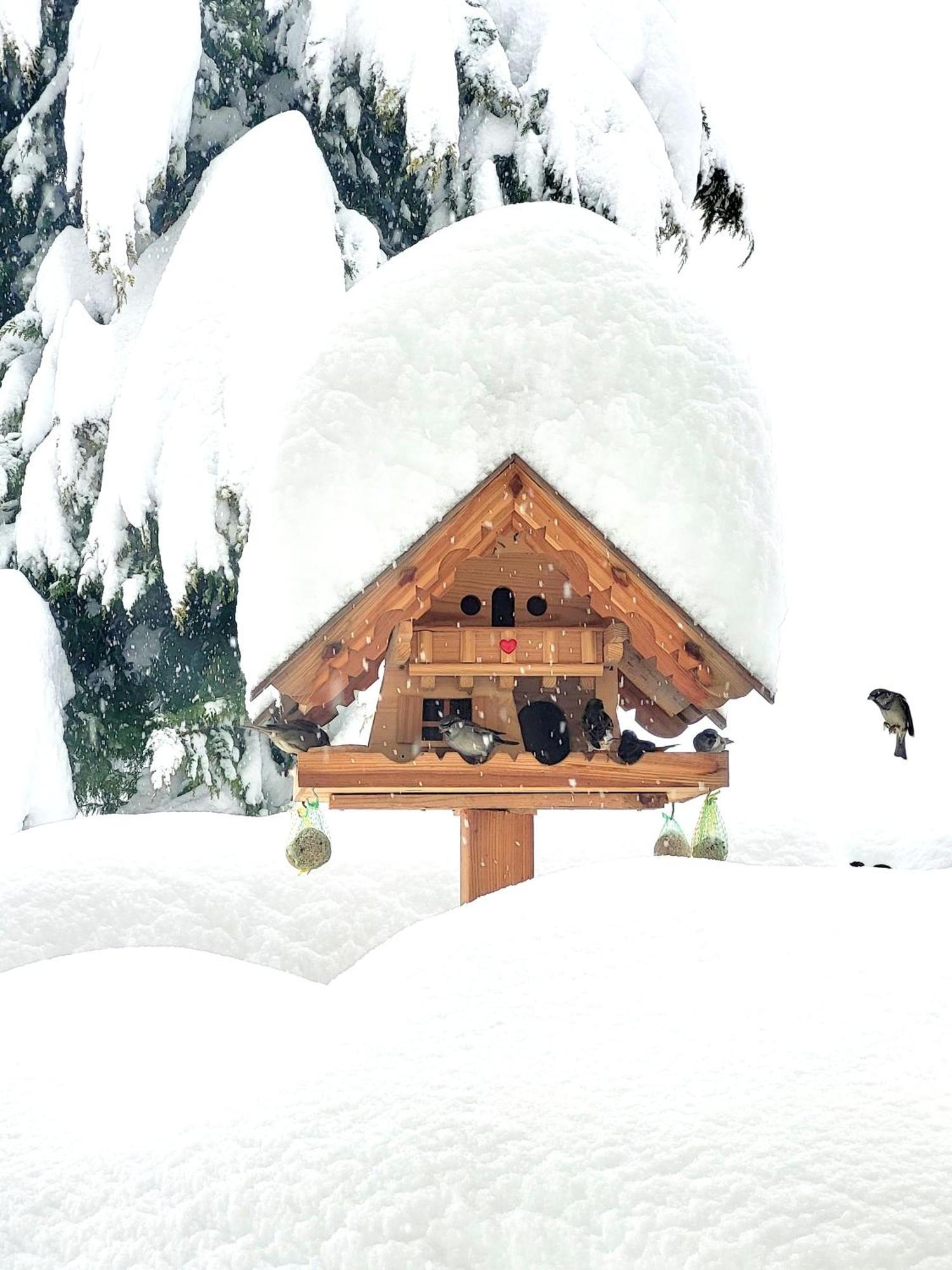 Gaestehaus Herma Ramsau am Dachstein Exterior photo