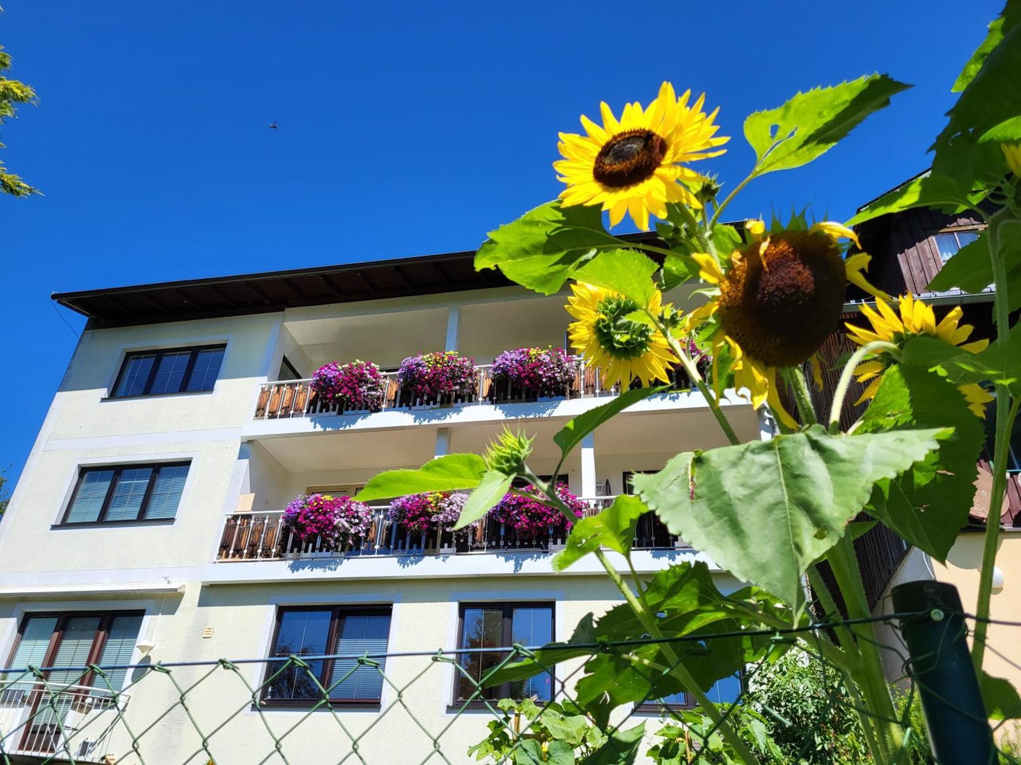 Gaestehaus Herma Ramsau am Dachstein Exterior photo