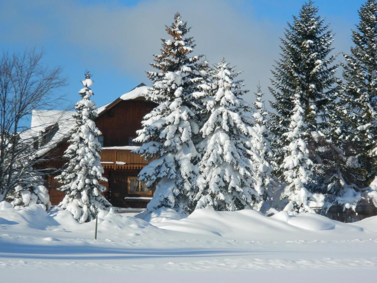 Gaestehaus Herma Ramsau am Dachstein Exterior photo